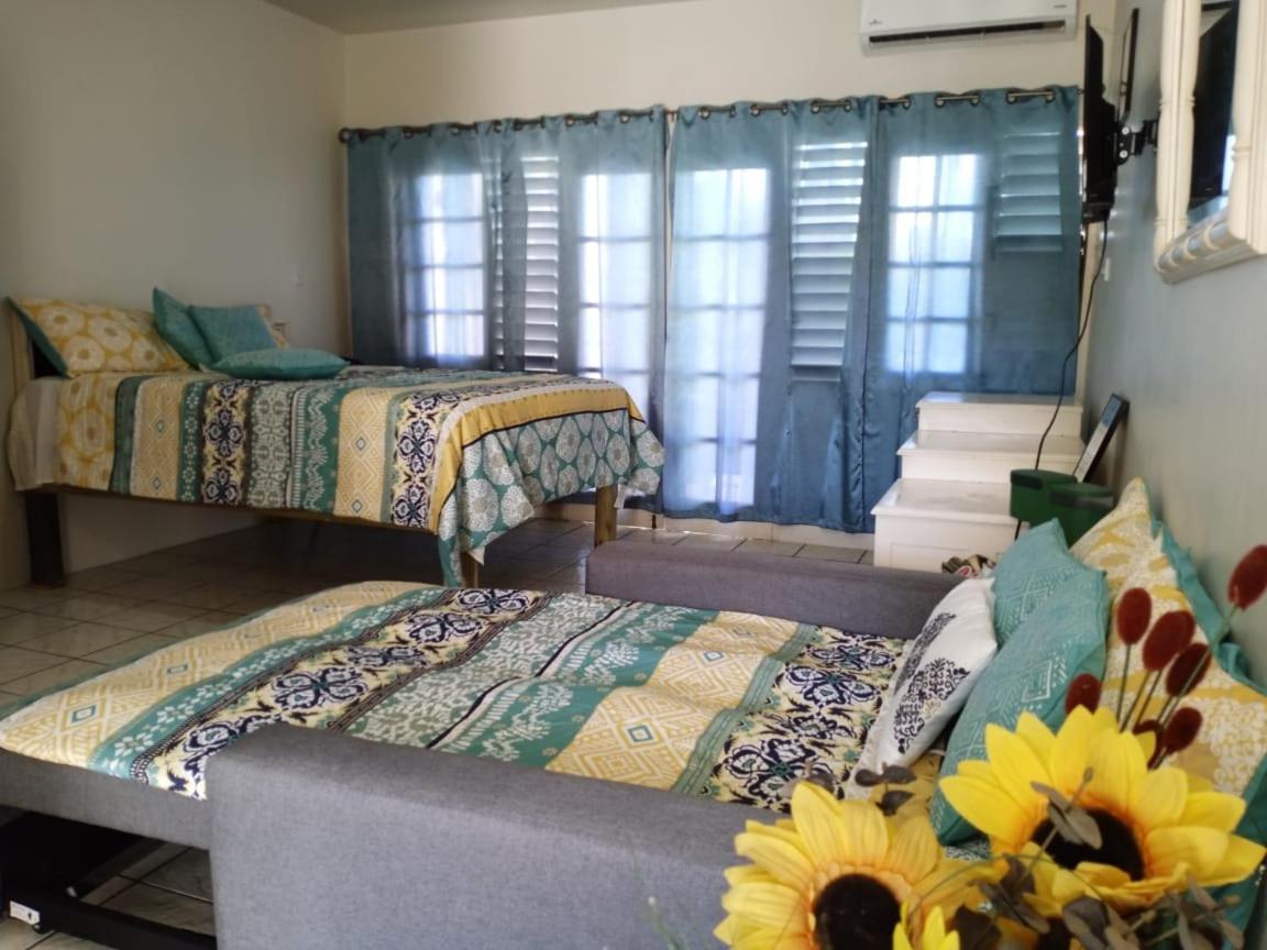 Ridgeway Guest House Montego Bay Esterno foto